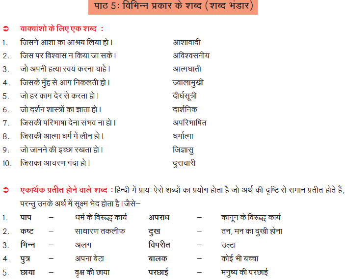 CBSE Class 8 Hindi Practice Worksheet Set C